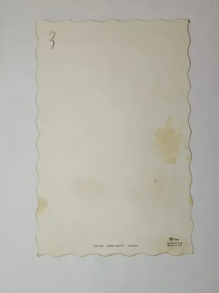 Santini Religiosi BELEN FLORES DE TIERRA SANTA