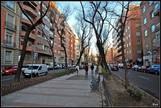 Piso en alquiler en Castellana en Madrid