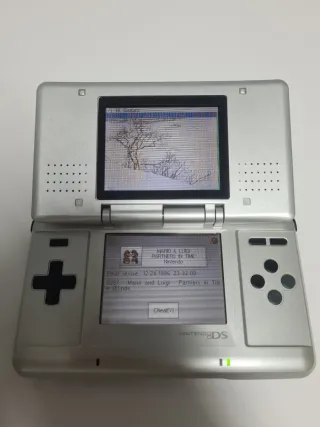 Nintendo DS Plata + Cartucho multijuegos + Funda