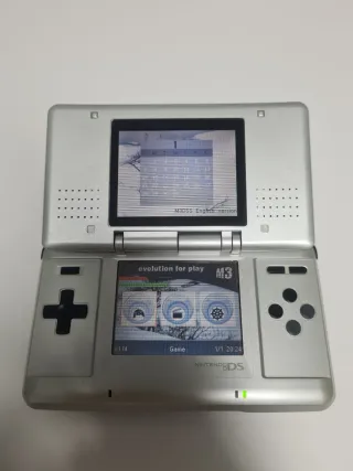 Nintendo DS Plata + Cartucho multijuegos + Funda