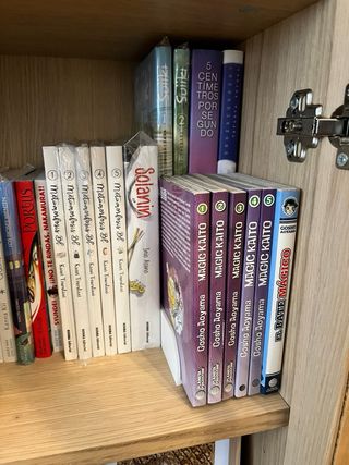 Organizador de Mangas