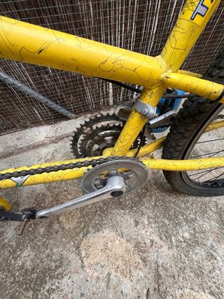 Tándem Monty Amarillo