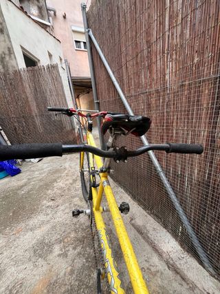 Tándem Monty Amarillo