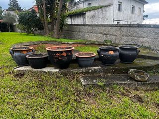 6 macetas grandes 20€ la pequeña  25€ la grande