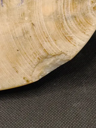 Biga Romana in Bronzo e base in Marmo