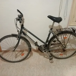 Bicicleta Pegasus
