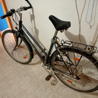 Bicicleta Pegasus