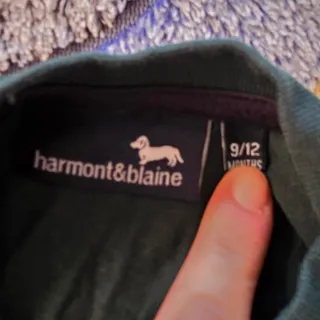 Camicia e Maglia Harmont&Blaine