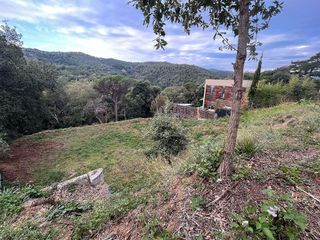 Solar en venta en Vallgorguina