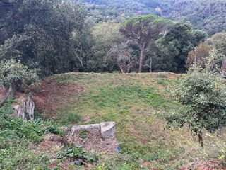 Solar en venta en Vallgorguina