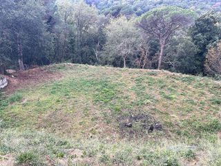 Solar en venta en Vallgorguina