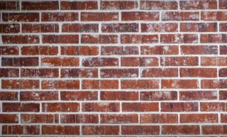 Servicios de reformas