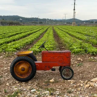 Tractor de pedales antiguo de hierro años 50