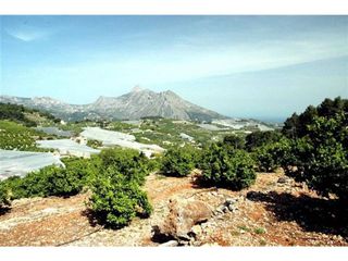 Terreno en venta en Callosa d´En Sarrià