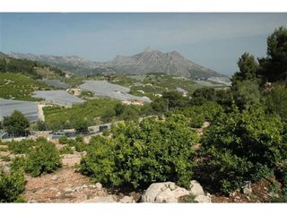 Terreno en venta en Callosa d´En Sarrià