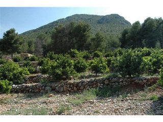 Terreno en venta en Callosa d´En Sarrià