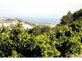 Terreno en venta en Callosa d´En Sarrià