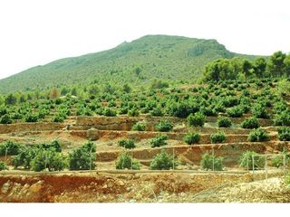 Terreno en venta en Callosa d´En Sarrià