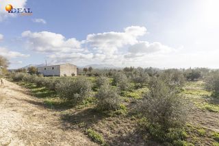 Nave industrial en venta en Peligros