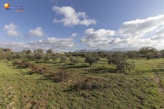 Nave industrial en venta en Peligros