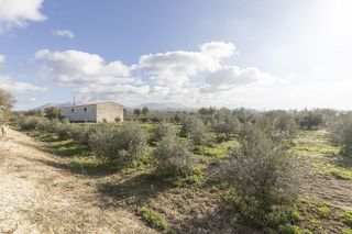 Nave industrial en venta en Peligros