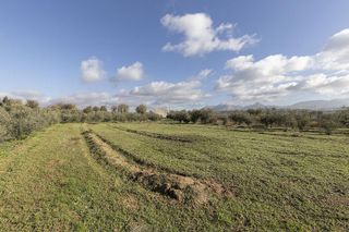 Nave industrial en venta en Peligros