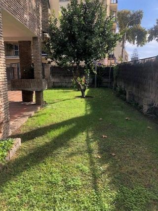 Local comercial en alquiler en Crevillet - Pinar Alto en Puerto de Santa María (El)