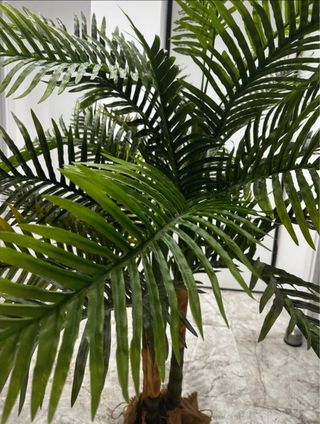 Planta Artificial Areca Grande