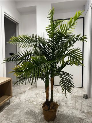 Planta Artificial Areca Grande