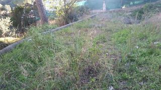 Terreno en venta en Mas Mora - Sant Daniel en Tordera