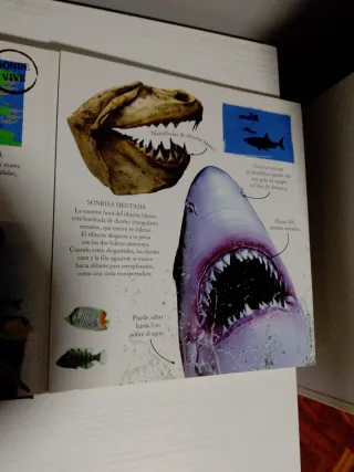 Gigantes marinos (Spanish Edition)