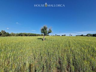 Solar en venta en Oria