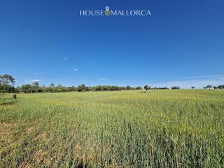 Solar en venta en Oria