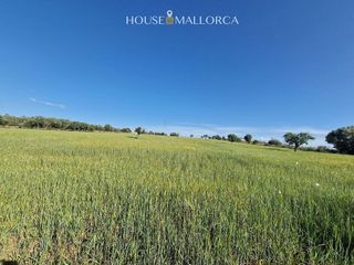 Solar en venta en Oria