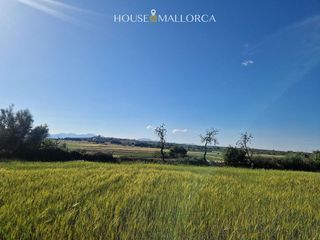 Solar en venta en Oria