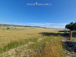 Solar en venta en Oria