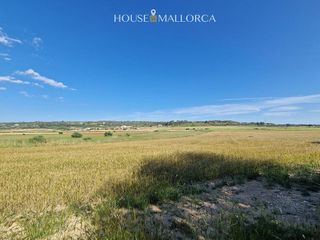 Solar en venta en Oria