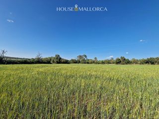 Solar en venta en Oria