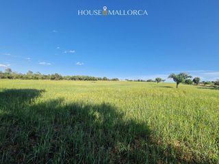 Solar en venta en Oria