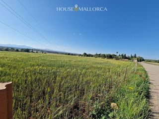 Solar en venta en Oria