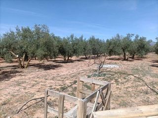 Terreno en venta en Albolote