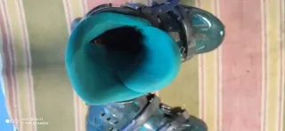 Patines en línea Rollerblade Talla 38