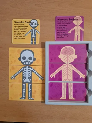 Juego Cuerpo Humano MyBody Systems STEM