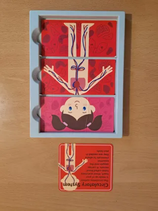 Juego Cuerpo Humano MyBody Systems STEM