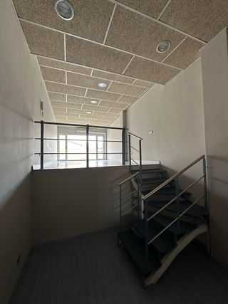 Estudio profesional para iniciar tu proyecto