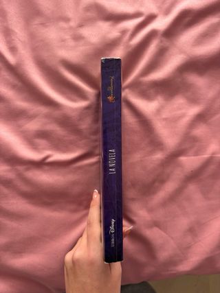 Los descendientes 2. La novela.