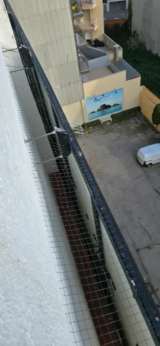 Placas solares , Limpieza y protección antipajaro