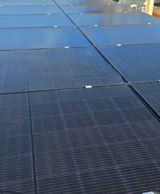 Placas solares , Limpieza y protección antipajaro
