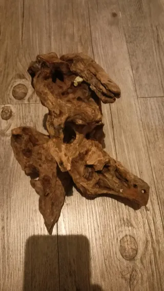 Raíz y tronco mangrove para acuario natural