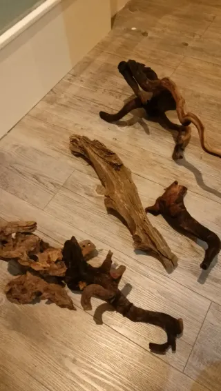 Raíz y tronco mangrove para acuario natural